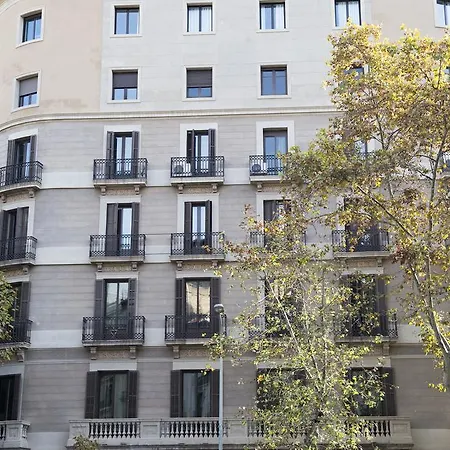 Gaudi 1